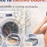 Lavatrice fa cattivo odore: perché succede e come evitarlo